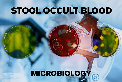 Stool Occult Blood Test Procedure Nursing